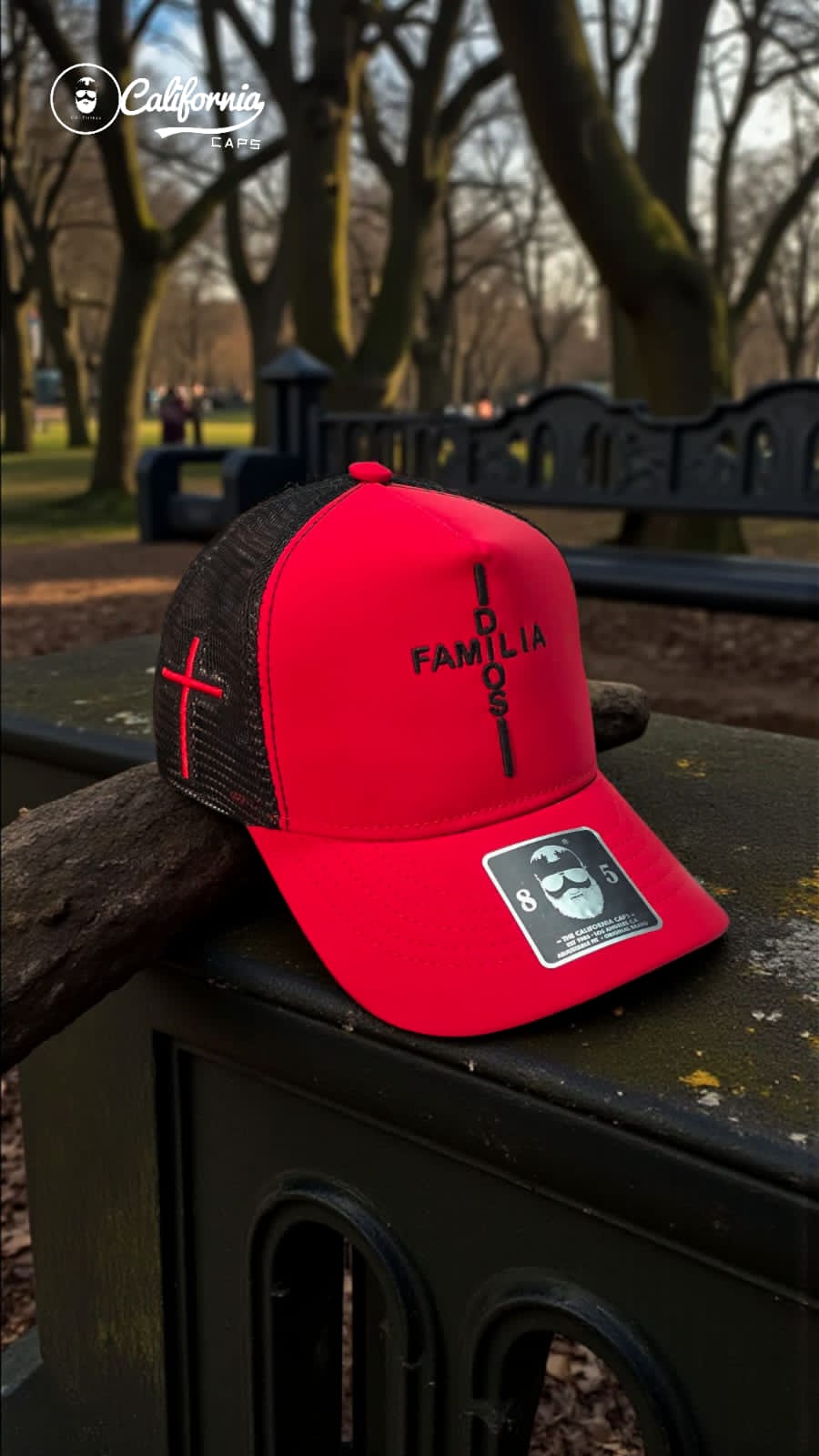 CALIFORNIA CAPS